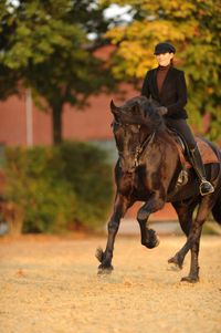 Jesper im Galopp, Foto: Michael Brandel